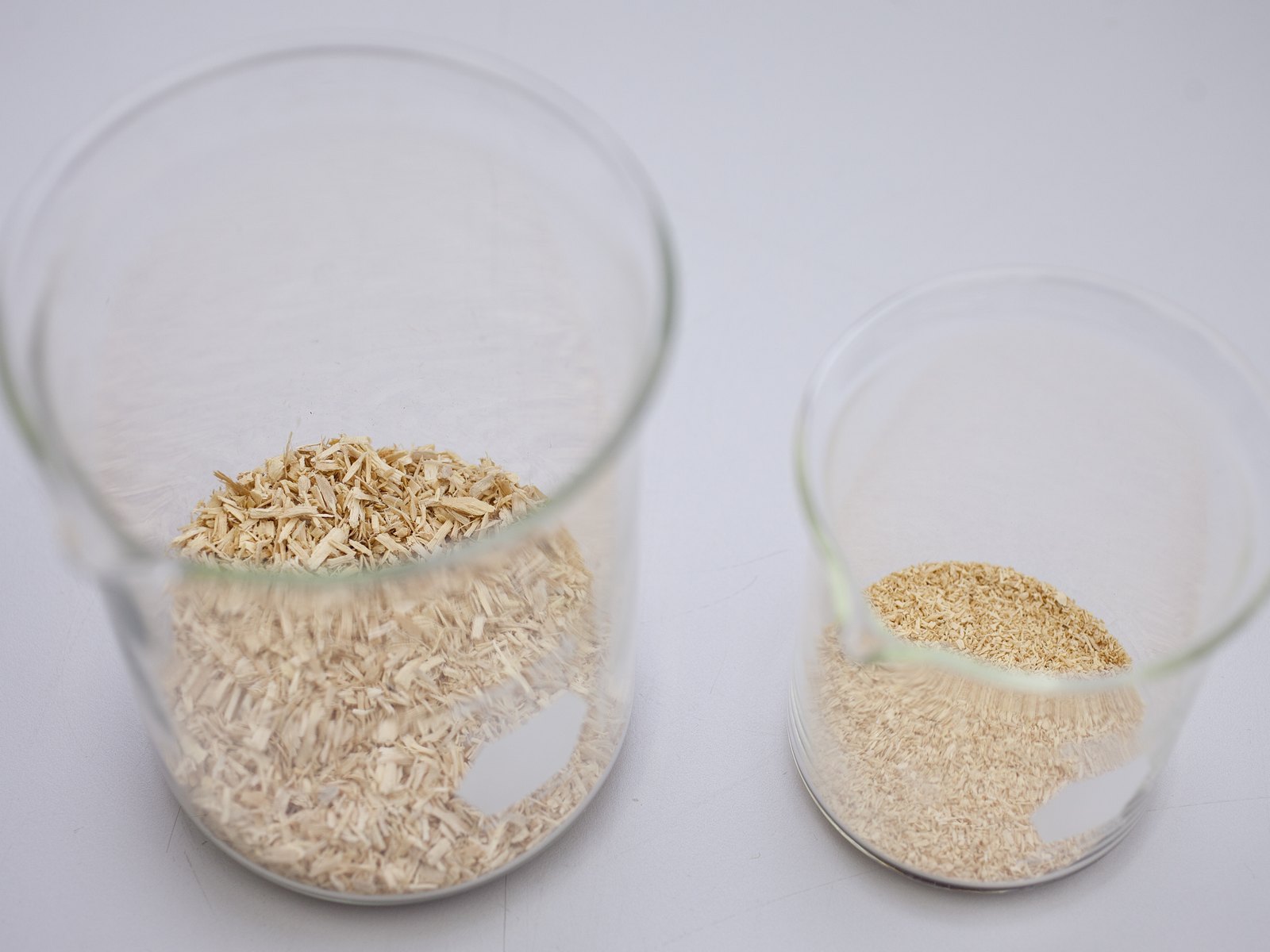 Ground Tongkat Ali root in laboratory beakers