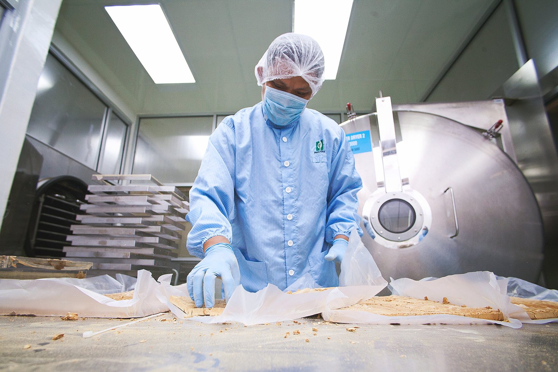 A Phytes Biotek technician handling freeze-dried Tongkat Ali extract