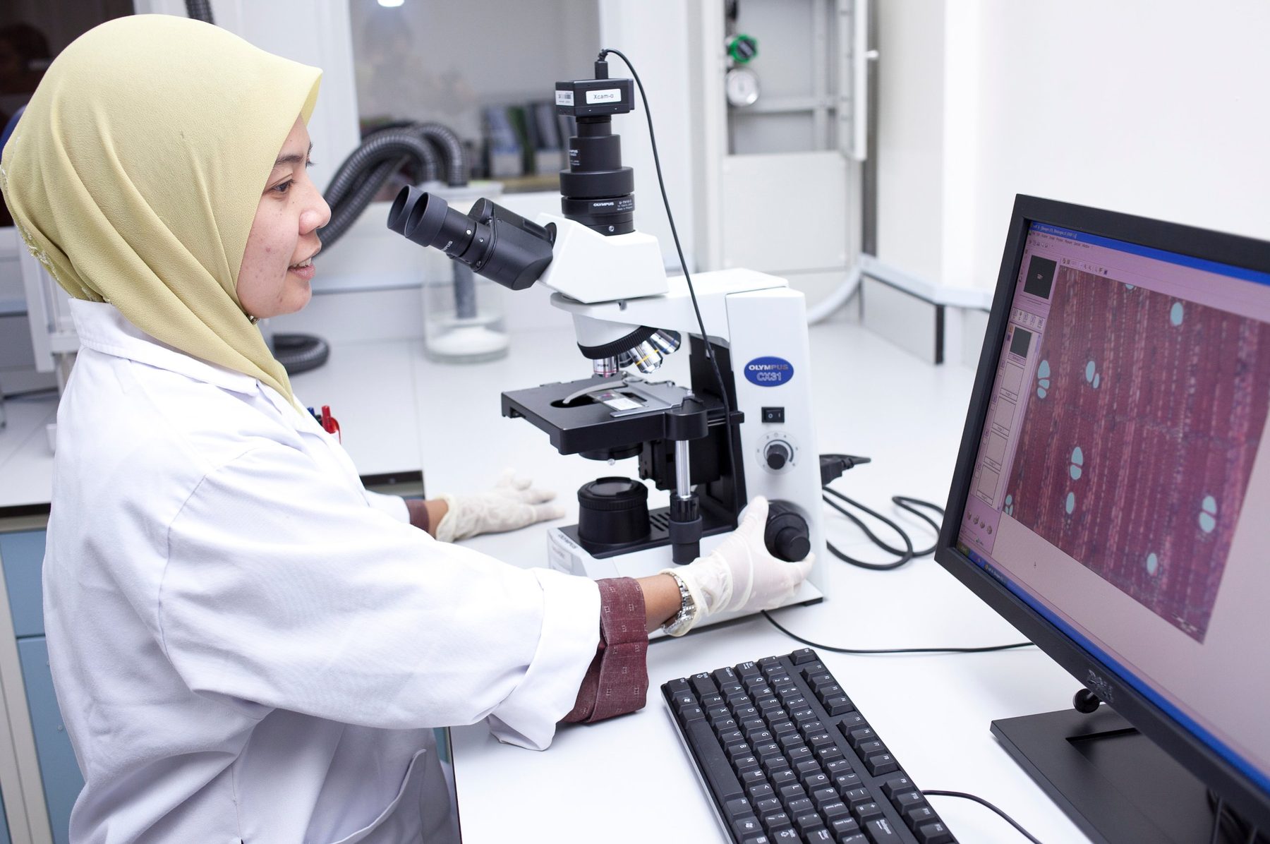 A Biotropics scientist examining a root sample under a microscope