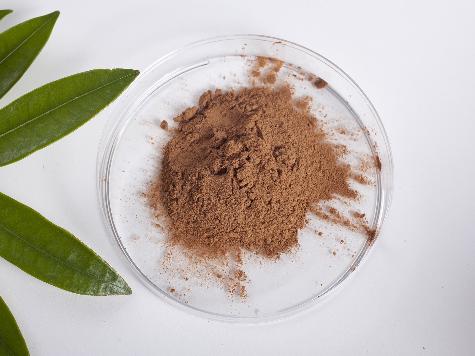 Nu-Femme® extract powder in a petri dish