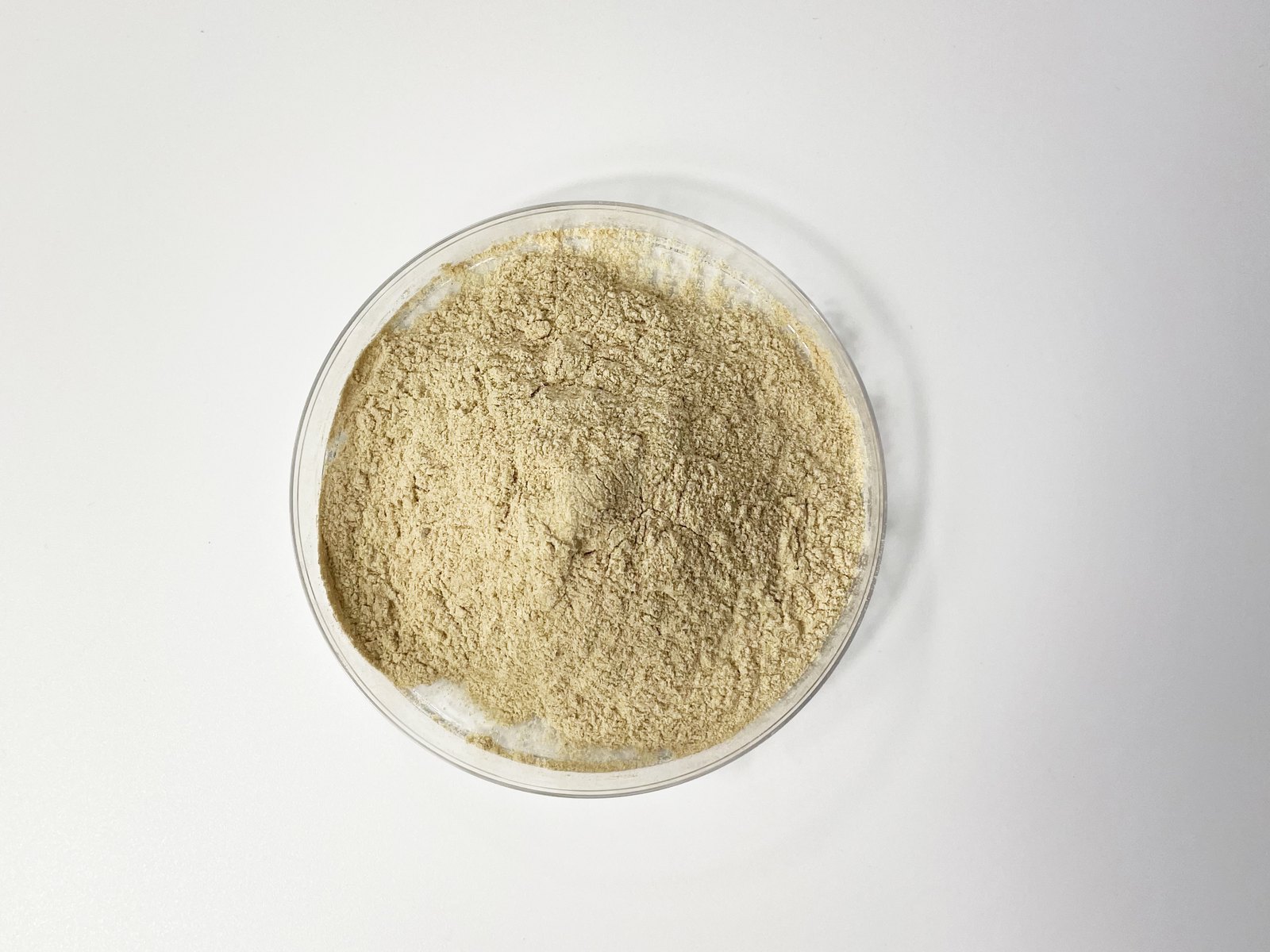 SLP+® extract powder in a petri dish