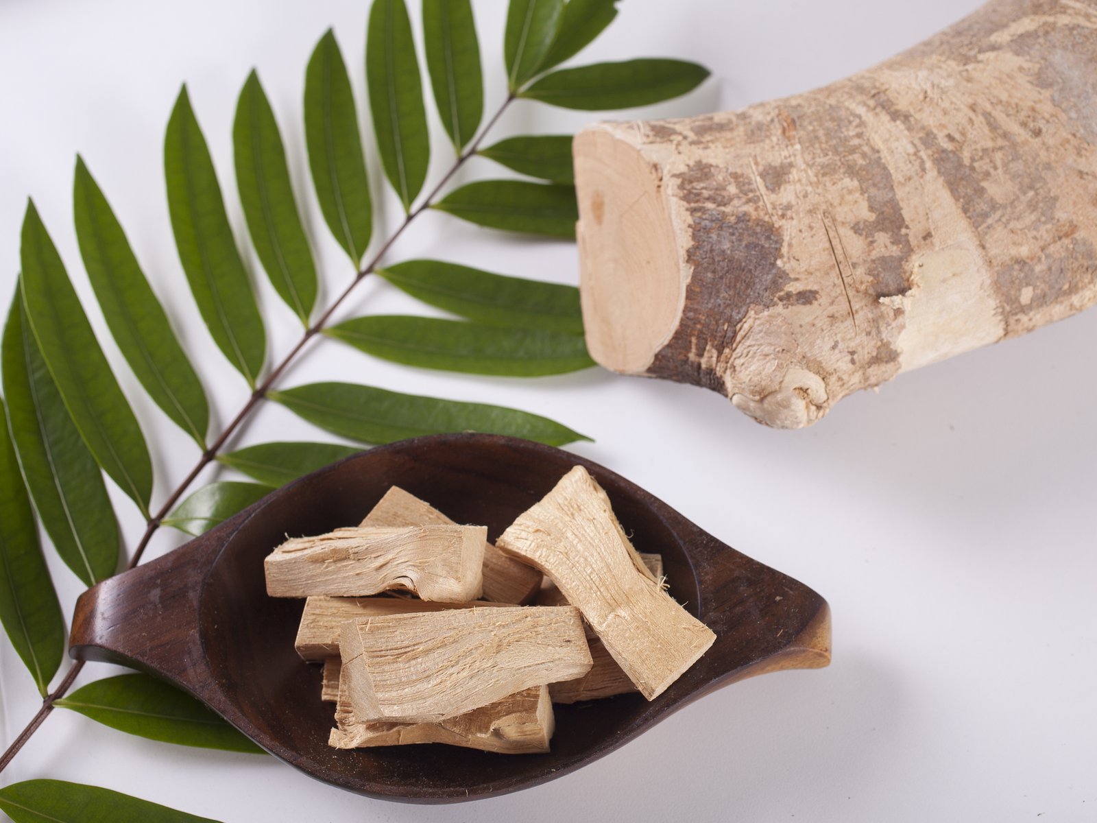 Tongkat Ali root and root pieces in a wooden bowl, with a frond of leaves