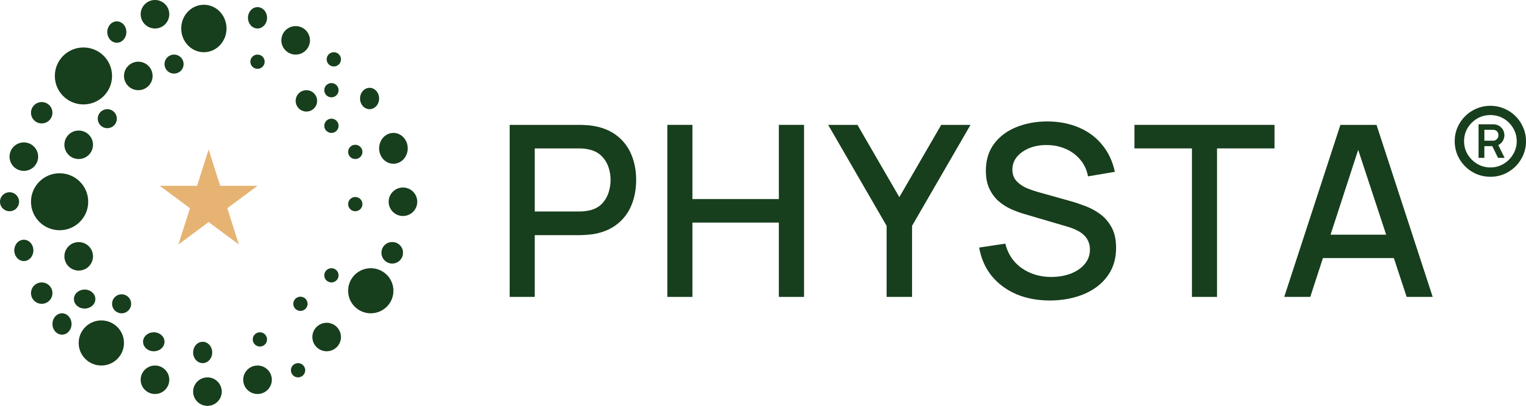 Physta logo, horizontal, full colour