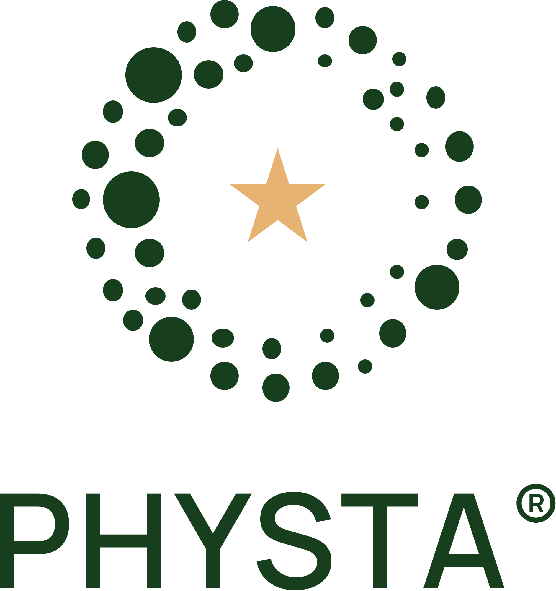Physta logo, stacked, full colour